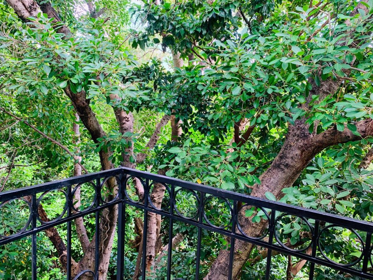 Villa Antilope Cancun Dış mekan fotoğraf