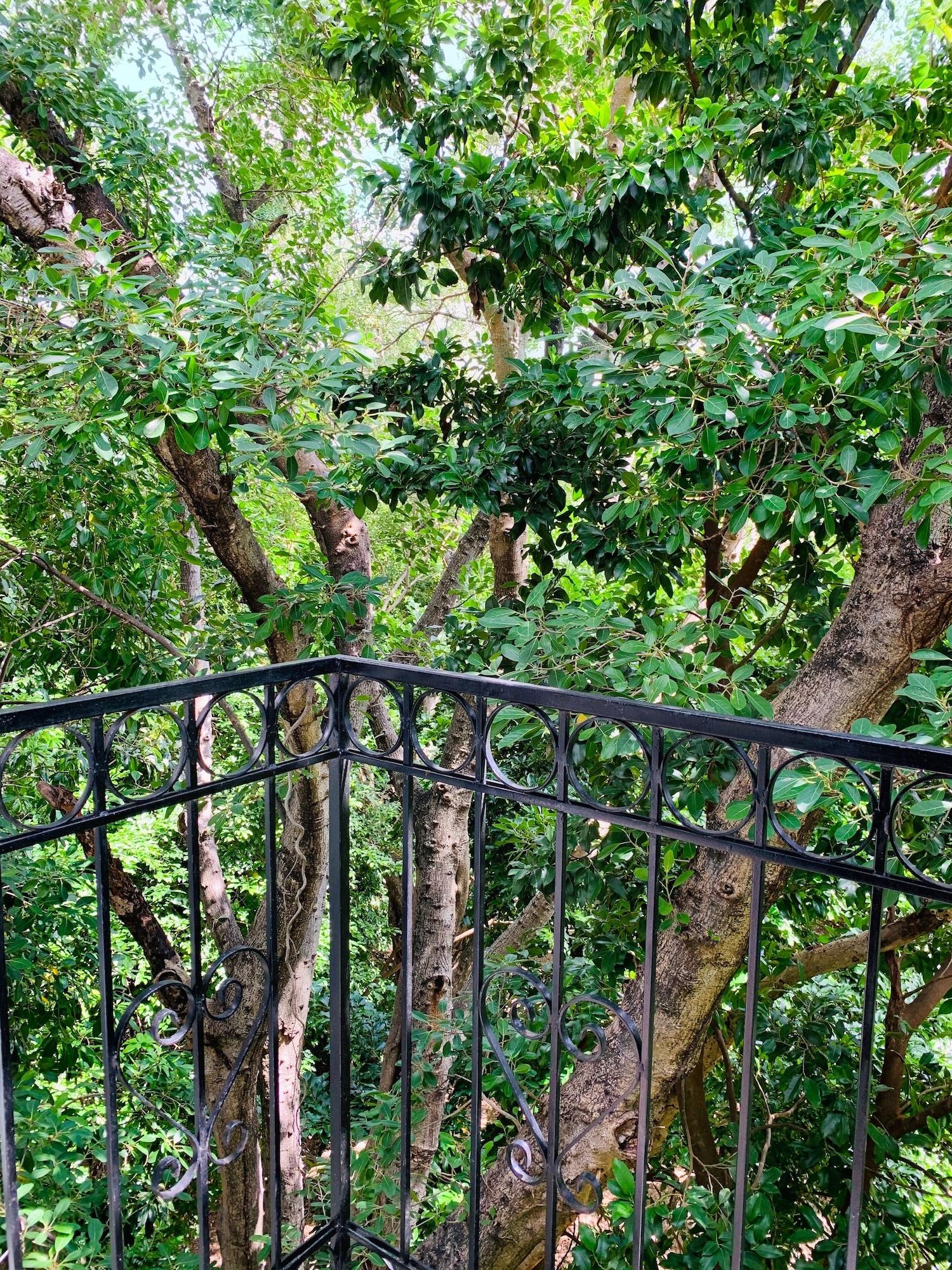 Villa Antilope Cancun Dış mekan fotoğraf